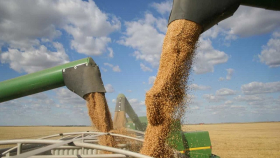 Казахстан отменил квоты на поставку зерна и муки   